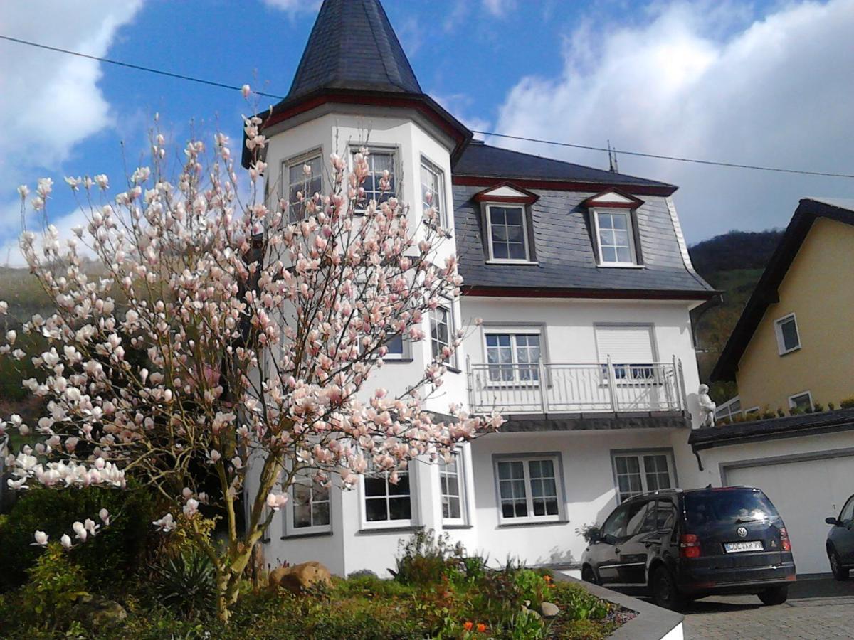 Ferienwohnung Thoennes Müden Εξωτερικό φωτογραφία